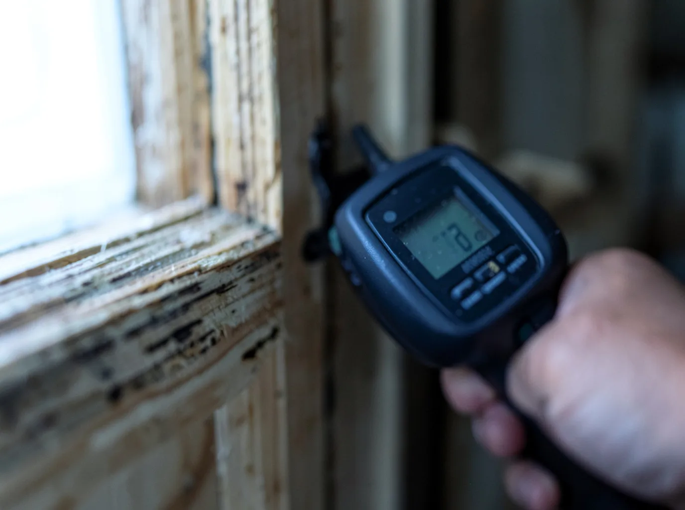 Moisture Inspection And Documentation in Quasqueton, IA